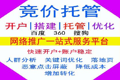 百度SEO推广公司成功案例：助力企业实现流量暴增